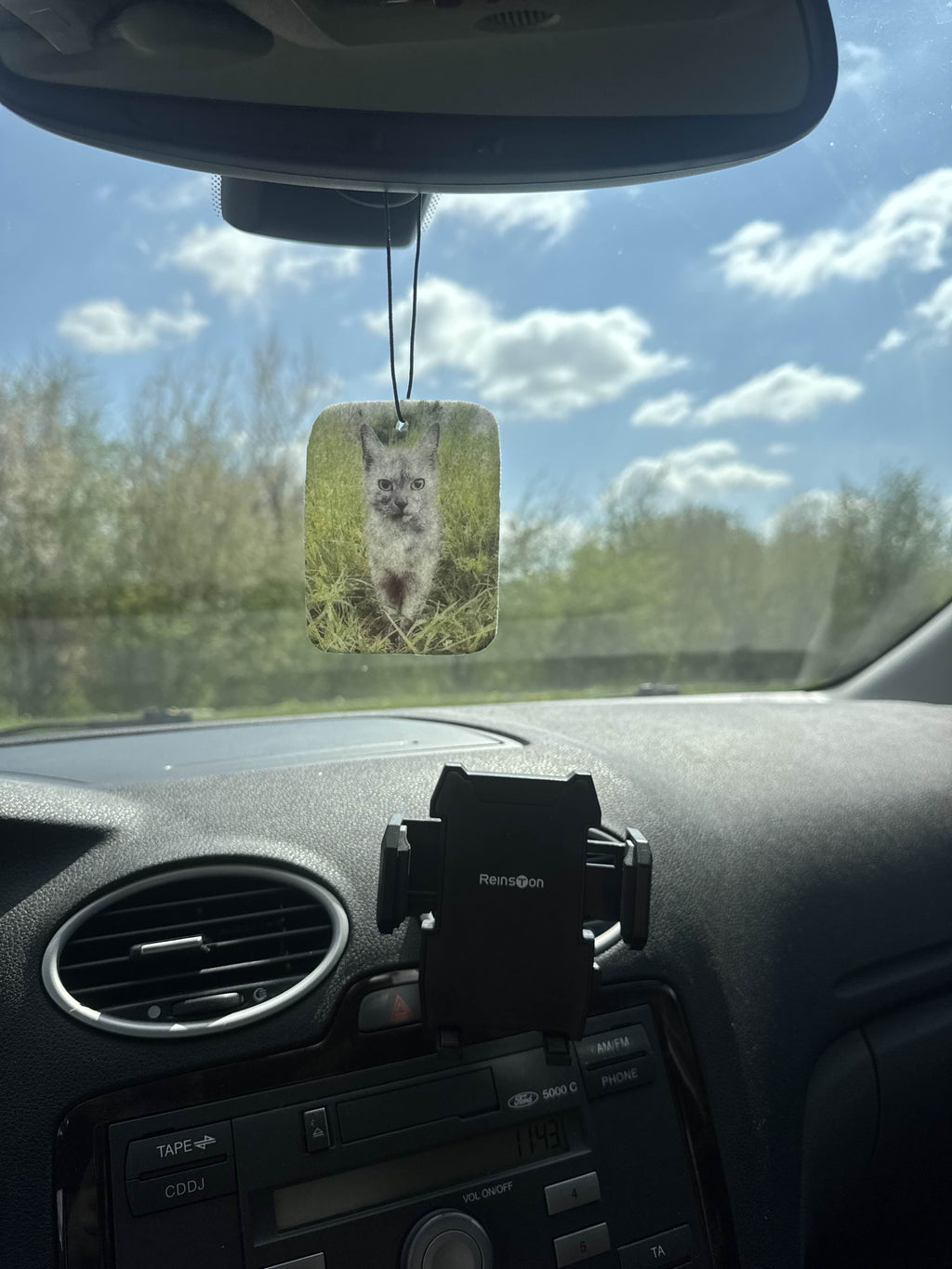 Twój kot jako zapach samochodowy