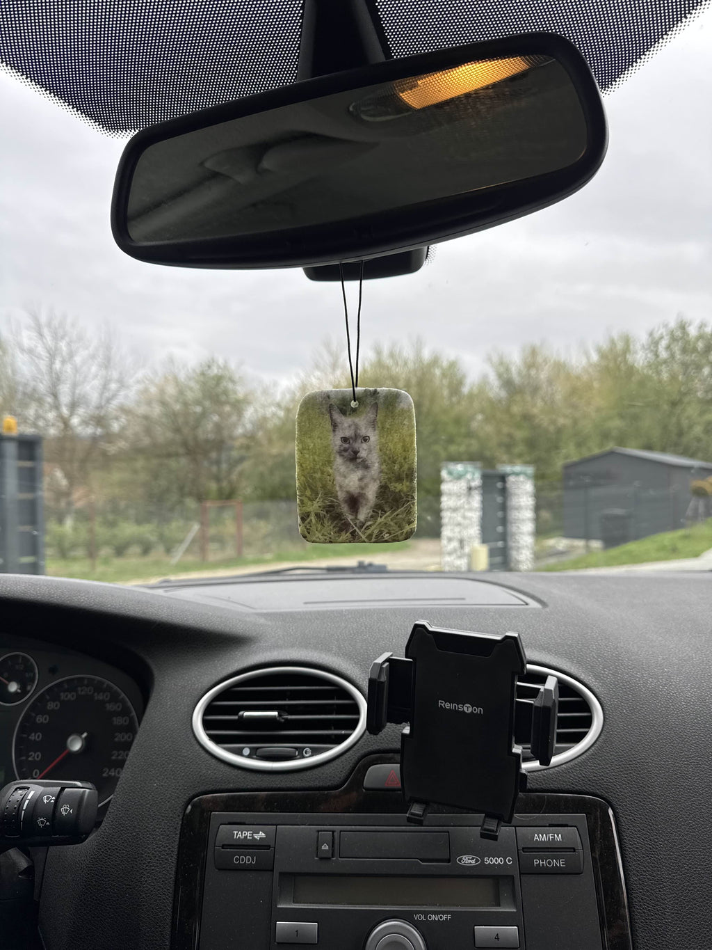 Twój kot jako zapach samochodowy