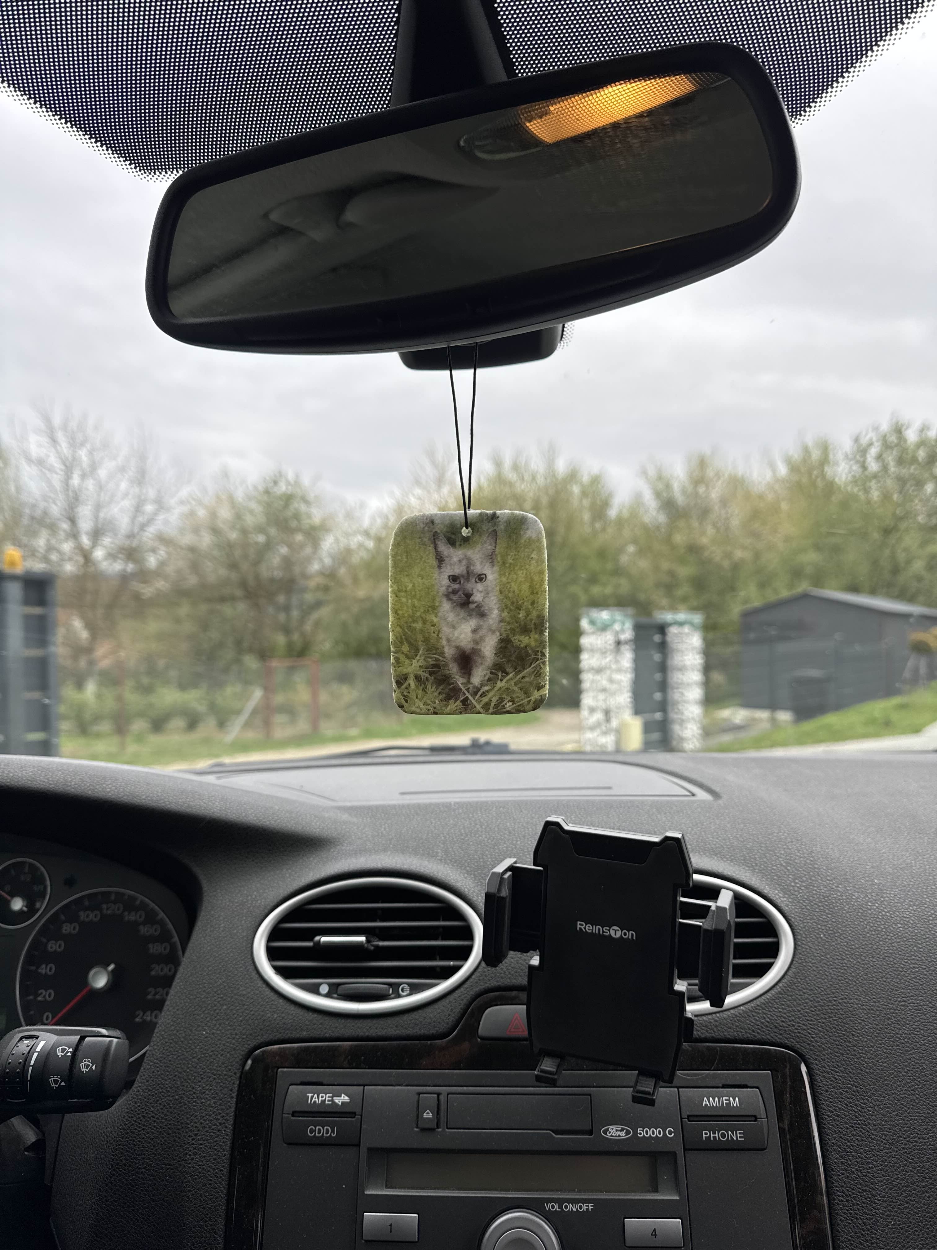 Twój kot jako zapach samochodowy